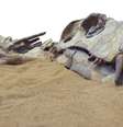 Os dinossauros foram extintos há cerca de 66 milhões de anos — mas há vários outros animais que já desapareceram da face da Terra de uma forma menos 'dramática'  Foto: Getty Images / BBC News Brasil