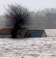 Casa inundada pelas águas do Rio Mondego, na vila de Montemor-O-Velho, em Portugal  Foto: DW / Deutsche Welle