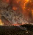 Incêndio florestal em Bairnsdale em na Austrália
30/12/2019
GLEN MOREY/via REUTERS  Foto: Reuters