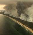 Os incêndios que atingem a Austrália desde setembro já destruíram uma superfície equivalente ao território da Irlanda  Foto: DW / Deutsche Welle