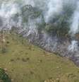 Floresta perdeu 9.165,6 quilômetros quadrados em 2019  Foto: DW / Deutsche Welle