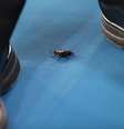  Foto: Reuters