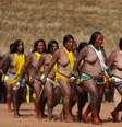 Índias da tribo kayapo dançam e cantam em Piaracu, no Parque do Xingu
17/01/2020
REUTERS/Ricardo Moraes  Foto: Reuters
