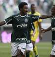 Luiz Adriano comemora gol que fechou a vitória do Palmeiras.  Foto: Marco Galvão / FotoArena / Estadão Conteúdo