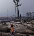 Congresso analisa medida provisória que pode aumentar o desmatamento na floresta amazônica  Foto: Reuters / BBC News Brasil