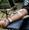 Novo coronavírus é incluído em triagem para doação de sangue, define Anvisa  Foto: LuAnn Hunt/Unsplash