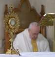 Papa Francisco voltou a rezar pelo fim da pandemia  Foto: ANSA / Ansa - Brasil