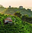 Drones serão usados para controlar movimentação nas Colinas do Prosecco, em Conegliano  Foto: Foto / Divulgação Unesco / Ansa - Brasil