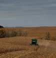 Colheita de milho em Dixon, Nebraska (EUA) 
26/10/2017
REUTERS/Lucas Jackson  Foto: Reuters