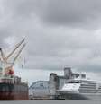 Navios atracados em Recife, PE; o cruzeiro (à direita) foi isolado após um caso de coronavírus 
13/03/2020
REUTERS/Hesiodo Goes  Foto: Reuters