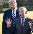 Trump e Fauci aparecem comumente juntos em pronunciamentos sobre o coronavírus, mas presidente criticou o infectologista em postagem  Foto: EPA / Ansa - Brasil