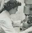 Almeida fez diversas descobertas com o uso do microscópio eletrônico  Foto: Getty Images / BBC News Brasil