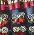 Governo amplia limite de compra de munição para quem tem porte de arma  Foto: J Irby/ Unsplash