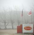 Unidade da Tyson Foods em Burbank, Washington (EUA) 
26/12/2013
REUTERS/Ross Courtney  Foto: Reuters