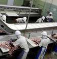 Processamento de carne bovina em frigorífico em Santana de Parnaíba (SP) 
19/12/2017
REUTERS/Paulo Whitaker  Foto: Reuters