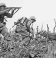 Rendição da Alemanha a aliados aconteceu em 8 de maio de 1945  Foto: BBC News Brasil