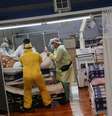 Paciente com coronavírus é tratado em hospital de Santo André (SP)
06/05/2020
REUTERS/Amanda Perobelli  Foto: Reuters