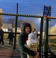 Migrantes protestam na fronteira entre Sérvia e Hungria
06/02/2020
REUTERS/Bernadett Szabo  Foto: Reuters