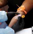 Paciente tem sangue coletado para exame que detecta anticorpos do novo coronavírus em Nova York
13/05/2020 REUTERS/Shannon Stapleton  Foto: Reuters