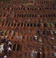 Sepultadores com trajes de proteção enterram vítima de Covid-19 no cemitério de Vila Formosa, em São Paulo
22/05/2020 REUTERS/Amanda Perobelli  Foto: Reuters
