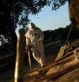 Um coveiro se prepara para enterrar o corpo de uma pessoa que morreu com a doença de coronavírus (COVID-19), no cemitério São Francisco Xavier, no Rio de Janeiro  Foto: Ricardo Moraes / Reuters