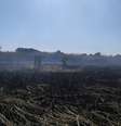 Bombeiros combatem focos de queimada em reserva de Presidente Epitácio, no oeste paulista. Área teve quatro queimadas em um mês  Foto: Corpo de Bombeiros / Divulgação. / Estadão