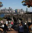 Zoolólgico Taronga, em Sydney, reabre para o público 
01/06/2020
REUTERS/Loren Elliott  Foto: Reuters