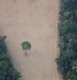 Vista aérea de local desmatado da Amazônia na região de Porto Velho (RO)   Foto: Ueslei Marcelino / Reuters
