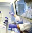 Técnicos de laboratório suíço realizam testes relacionados a pesquisas sobre vacina contra coronavírus
22/04/2020
REUTERS/Arnd Wiegmann/  Foto: Reuters