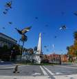 Praça de Maio, em Buenos Aires
18/05/2020
REUTERS/Agustin Marcarian  Foto: Reuters