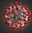 Ilustração 3D do novo coronavírus
MAM/CDC/Divulgação via REUTERS/File Photo  Foto: Reuters