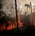 Queimadas atingem área da Amazônia em Porto Velho
23/08/2019
REUTERS/Ueslei Marcelino/  Foto: Reuters