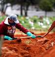 Brasil ultrapassa marca dos 51 mil mortos por coronavírus  Foto: EPA / Ansa