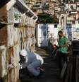 Sepultamentos de pessoas suspeitas de morte pelo Covid – 19, realizados no cemitério do Catumbi, Centro do Rio, neste sábado (18).  Foto: LUCIANO BELFORD/AGÊNCIA O DIA / Estadão