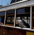 Pessoas usando máscaras de proteção são istas em um trem nos arredores de Lisboa, Portugal. 23/6/2020. REUTERS/Rafael Marchante  Foto: Reuters