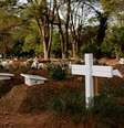 Grupo diz que o número de mortes no Brasil está estabilizado, mas em um patamar muito alto  Foto: Ettore Chiereguini/Agif - Agência de Fotografia / Estadão Conteúdo