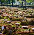 Brasil registra mais 1.261 mortes e ultrapassa 75 mil óbitos  Foto: Antonio Molina/Fotoarena / Estadão Conteúdo
