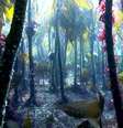 Kelp forest  Foto: BBC News Brasil
