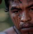 Paulo Paulino Guajajara, integrante de grupos conhecido como "guardiões da floresta", foi assassinado na Terra Indígena Arariboia, em novembro de 2019  Foto: DW / Deutsche Welle