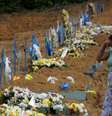  Brasil ultrapassa marca de 94 mil óbitos por covid-19  Foto: Reuters