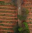 Brasil soma 99,5 mil mortes e quase 3 milhões de casos16/07/2020 REUTERS/Amanda Perobelli  Foto: Reuters