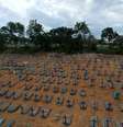 Brasil contabiliza média diária de 1.001 mortes por covid-19  Foto: fdr
