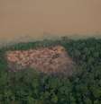 Vista aérea de área desmatada na floresta amazônica
21/08/2019
REUTERS/Ueslei Marcelino  Foto: Reuters