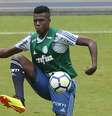 Pedrão jogou apenas duas vezes pelo Palmeiras (Foto: Divulgação/Palmeiras)  Foto: Gazeta Esportiva