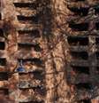 Movimentação no cemitério da Vila Formosa, em São Paulo  Foto: Amanda Perobelli / Reuters