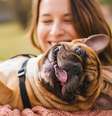 Cachorro brincando com uma mulher  Foto: Shutterstock / Alto Astral