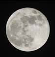 Descubra como a lua interfere na suas emoções -  Foto: Shutterstock / João Bidu