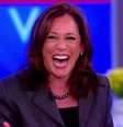 Kamala Harris tem o apoio oficial ou informal das grandes redes de TV dos Estados Unidos  Foto: Reprodução