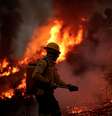 Bombeiro combate foco de incêndio na floresta amazônica, em Apuí (AM)
11/08/2020
REUTERS/Ueslei Marcelino  Foto: Reuters