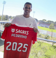 Pedrinho tem contrato assinado com Benfica, mas ainda não foi registrado (Foto: Divulgação)  Foto: Gazeta Esportiva